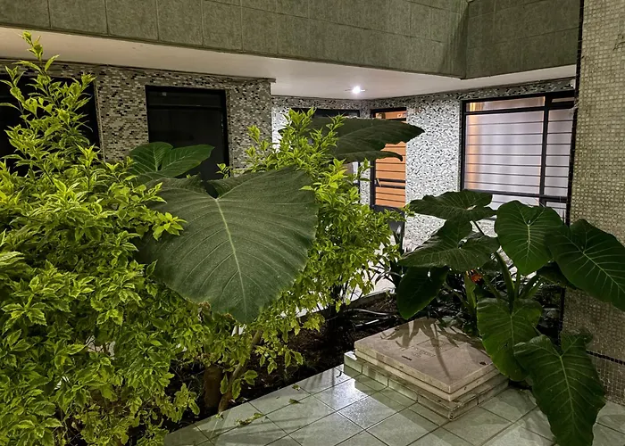 Londrés 190 Apartamento
